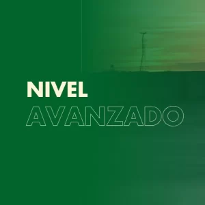 Curso Avanzado