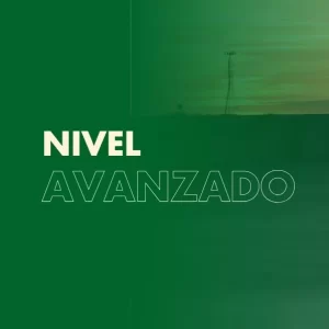 Curso Avanzado
